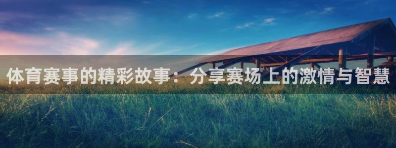 体育赛事的精彩故事：分享赛场上的激情与智慧