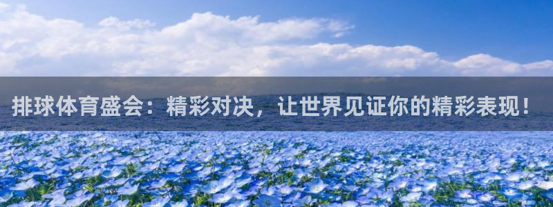 排球体育盛会：精彩对决，让世界见证你的精彩表现！