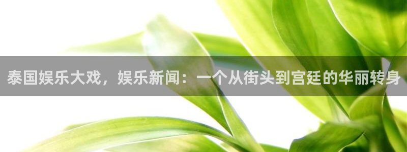泰国娱乐大戏，娱乐新闻：一个从街头到宫廷的华丽转身