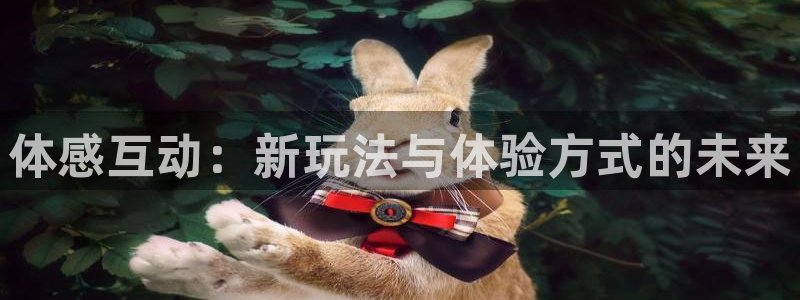 体感互动：新玩法与体验方式的未来