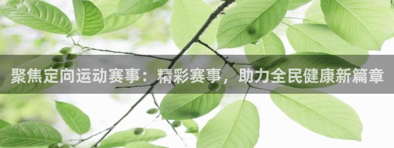 聚焦定向运动赛事：精彩赛事，助力全民健康新篇章