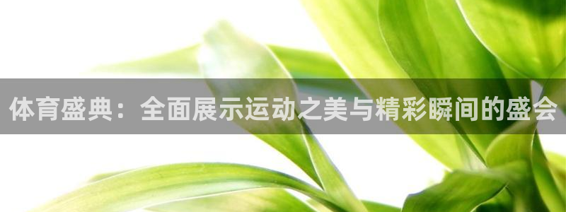 体育盛典：全面展示运动之美与精彩瞬间的盛会