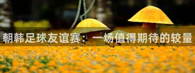 朝韩足球友谊赛：一场值得期待的较量