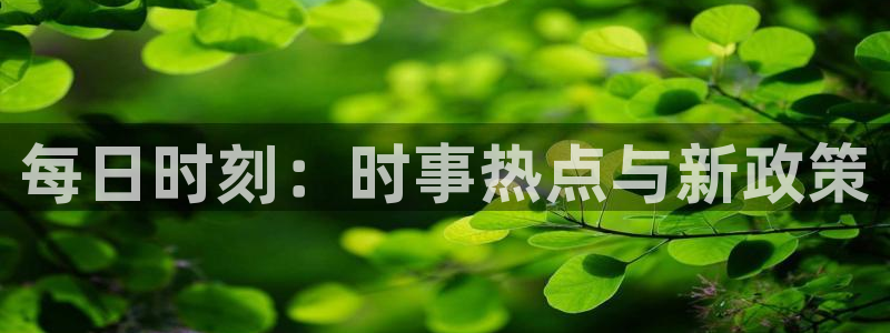 每日时刻：时事热点与新政策