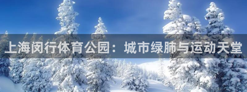 上海闵行体育公园：城市绿肺与运动天堂