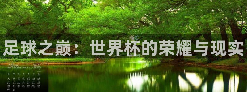 足球之巅：世界杯的荣耀与现实