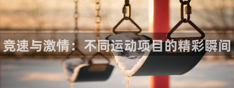 竞速与激情：不同运动项目的精彩瞬间