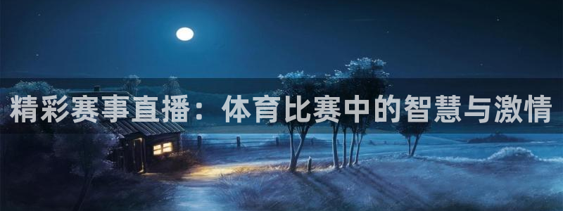 精彩赛事直播：体育比赛中的智慧与激情