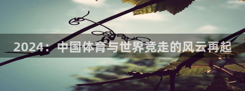 2024：中国体育与世界竞走的风云再起