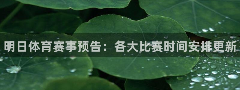 明日体育赛事预告：各大比赛时间安排更新
