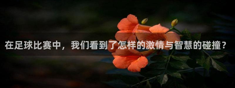 在足球比赛中，我们看到了怎样的激情与智慧的碰撞？