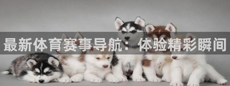 最新体育赛事导航：体验精彩瞬间