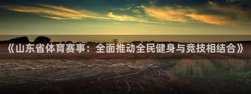 《山东省体育赛事：全面推动全民健身与竞技相结合》