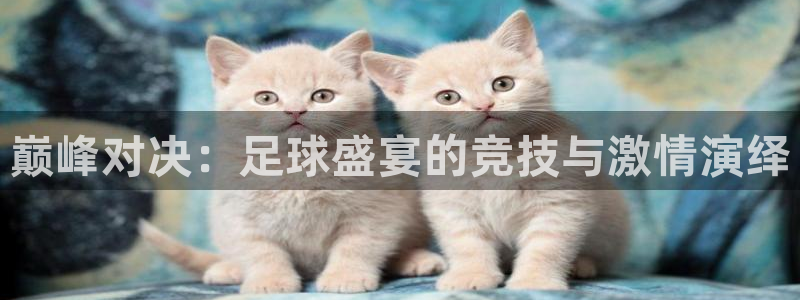 巅峰对决：足球盛宴的竞技与激情演绎